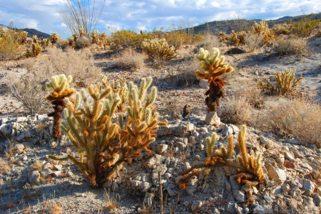 2006-02-26 20.37.34.jpg