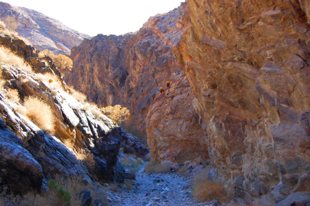 2013-08-10 06.36.37.jpg