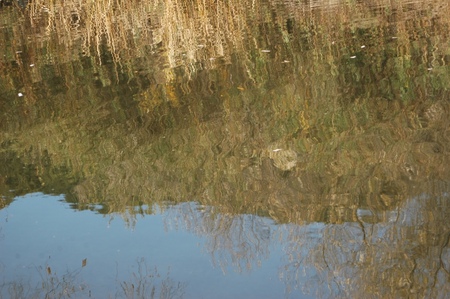 DSC_9083.JPG