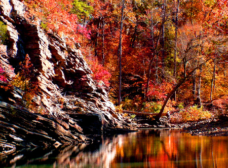 Jack Creek, Ouachita National Forest (2).jpg