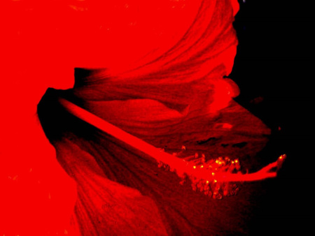Rotation of Re-exposure of Rotation of 0090106 copy.jpg