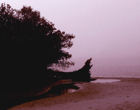 seminole land.jpg