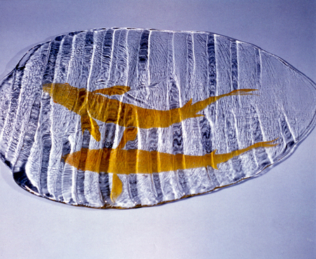 ironhand-glass-052.jpg