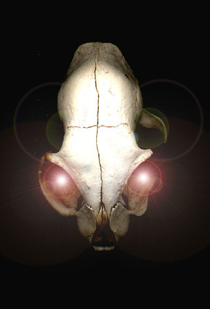 ironhand-skull-002.jpg
