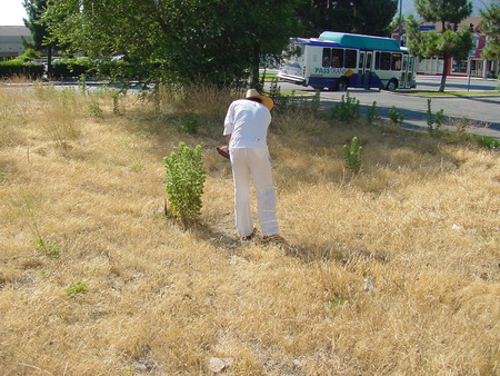 ih-boniface-B-007.JPG